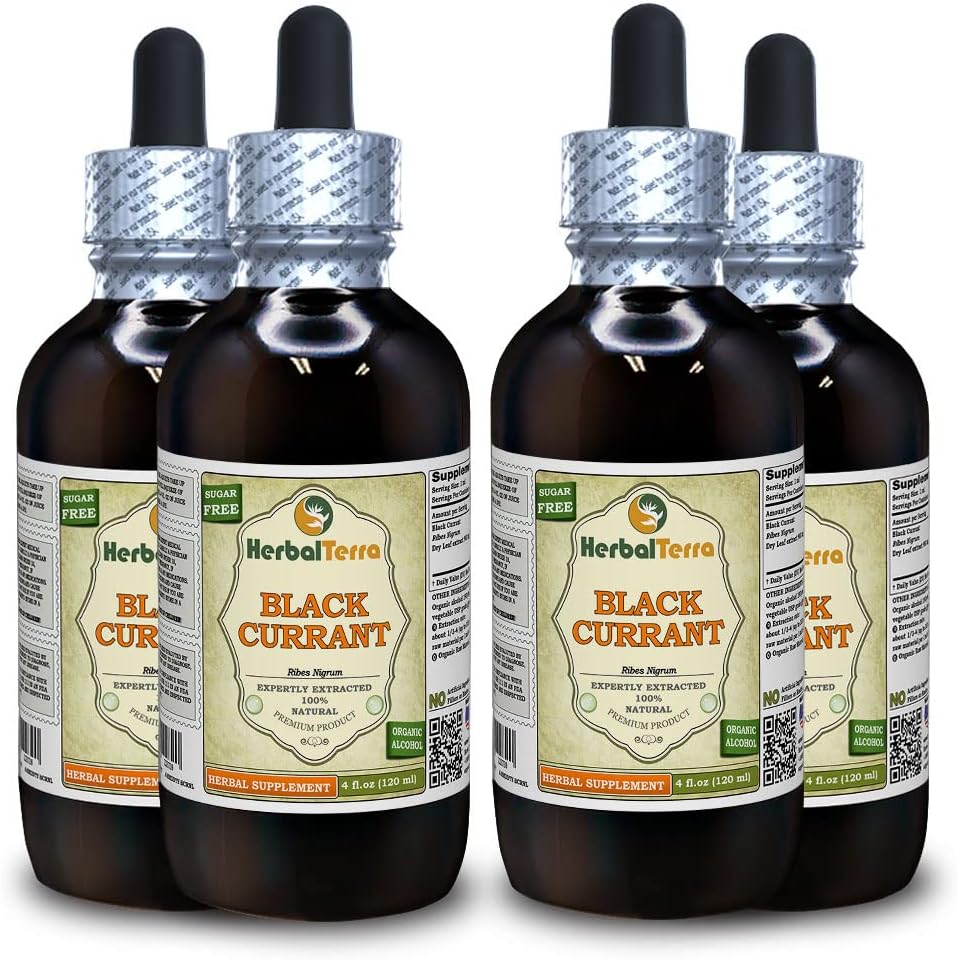 Black Currant (Ribes nigrum) Tincture, 건조 정제 액체 추출 (브랜드 이름: HerbalTerra, 미국에서 만들어진) 4x4 fl.oz (4x120 ml)