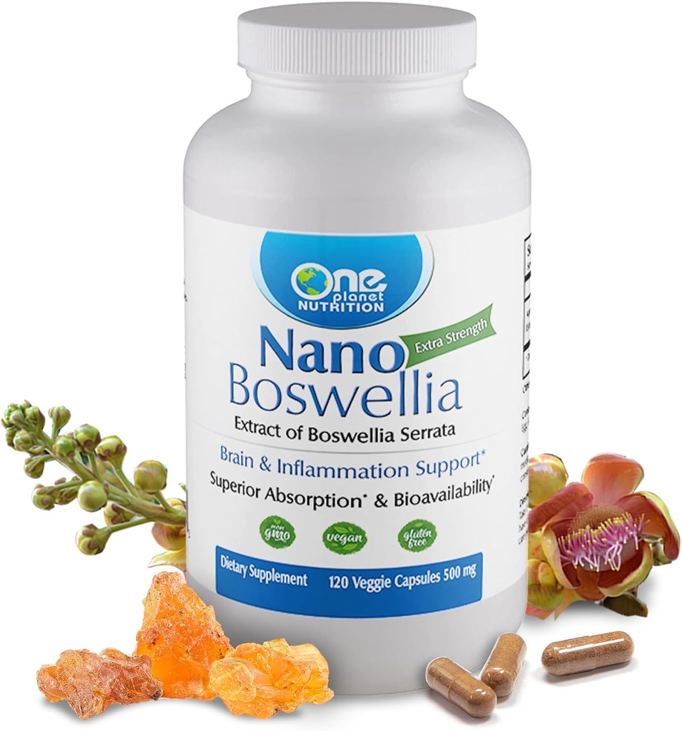 1개의 행성 영양 나노 Boswellia 500 mg Veggie 캡슐 (120의 서빙), Boswellia serrata 수지, 뇌 건강, 비 GMO, Vegan, 글루텐 자유로운을 위한 Cognitive 기능 지원