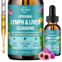 Liposomal 림프 배수장치 하락, 간결 Detox & 우유 이틀을 가진 액체 보충교재, Dandelion, Burdock 뿌리 & Echinacea - Lymph & 간결 Detox, 산화 방지제, 자연적인 풍미 2 Fl Oz
