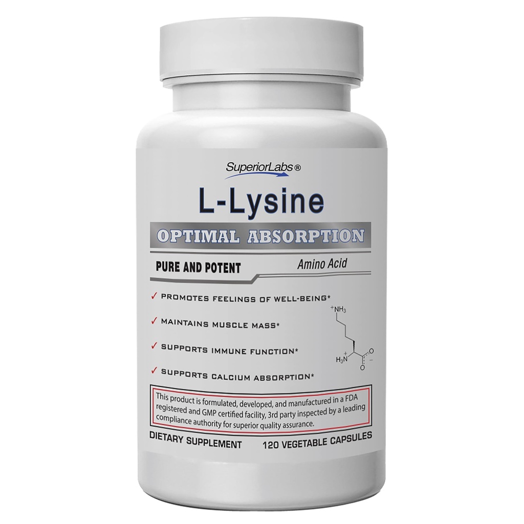 우량한 실험실 L 리진 500 mg 캡슐, 순수한 비 GMO, 제3자 시험되는, 충전물 없음, 글루텐 자유로운, 지원 면역 체계, 승진시킵니다 칼슘 흡수, 120의 모자