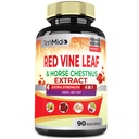 Red Vine Leaf Extract Capsules - Horse Chestnut, Beet Root, Ginger - 심장, 다리 정맥 및 에너지를위한 초본 보충 - 45 일 동안 90 Vegan 캡슐