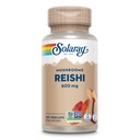 SOLARAY Reishi 버섯 600mg - Immune 지원을위한 Reishi 버섯 캡슐 - Vegan, Lab Verified - 60 일 환불 보증 - 100 서빙, 100 VegCaps