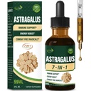 Immune 체계 지원을 위한 Astragalus 뿌리 추출물 초본 하락, Immunity 건강 & 에너지 Boost 탄미익은 Rhodiola Rosea, Echinacea, Elderberry, Reishi, Ginseng를 가진 보충합니다. 황 Qi. 2oz