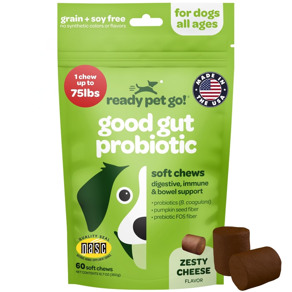 개 Gut 건강을위한 Probiotic Chews | 호박 개 프로바이오틱스와 소화 효소 효소가있는 Dogs Digestive 건강을위한 맛있는 사전 및 프로바이오틱스 | NASC 인증 및 미국에서 제작 | 60 Chews