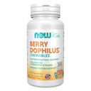 지금 식품 보충제, BerryDophilusTM 2 억, 10 Probiotic Strains, Xylitol Sweetened, Strain Verified, 60 Chewables, 포장은 다를 수 있습니다