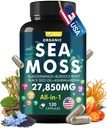 Sea Moss 캡슐 Complex with Sea Moss, Black Seed Oil, Aşhwagandha, Ginger & Vitamins C, D3-120 Capsules, Superfood Supplements - 고급 Seamoss 알약, Wild Sea Moss Pills, 미국산