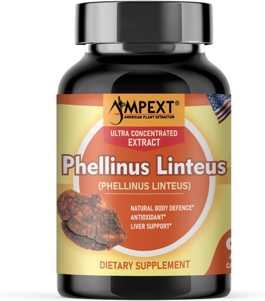 Phellinus linteus 버섯 추출물 - 프리미엄 품질, 과일 보디, 산화 방지제, 면역 부스터, Liver 지원, 90 Veg 모자 만.