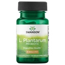 Swanson L. Plantarum - 소화기 보충 촉진 및 보렐 일반 - 자연적인 공식은 Bloating를 감소시키는 것을 돕습니다 - (30의 Veggie 캡슐)