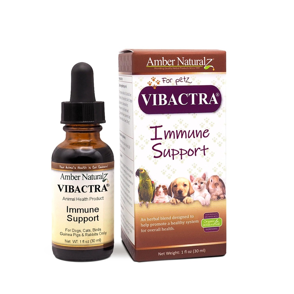 Amber NaturalZ Vibactra Immune Support 개, 고양이, 새, 기니 돼지 및 토끼를위한 초본 보충 | 전체 건강을위한 애완 동물 초본 혼합 | 1 유체 오닉스 유리 병 | 제조 미국