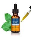 허브 Pharm Organic Kava Root Liquid Extract for stress Relief & Relaxation* : Vegan Kava Extract, Calm 및 Relaxed Mood, Gluten-Free, 1 Oz를위한 비 GMO Kava Kava Tincture
