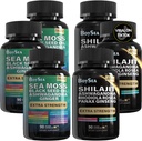 모든 제품 Shilajit와 바다 Moss 번들 - 90 카운트 - 바다 Moss, 블랙 씨 오일, Ashwagandha, Ginger & Shilajit, Rhodiola Rosea, 모든 1 보충제 (3 Pc)