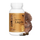 Vita Green Lingzhi Mushroom 캡슐 에너지, 메모리 및 면역 지원 – 웰빙 및 에너지를위한 천연 산화 방지제와 순수한 Reishi 보충 – 72 캡슐