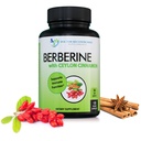 DOCTOR RECOMMENDED 지원 Ceylon Cinnamon와 Berberine - 1200mg Berberine & 100mg 유기 Ceylon Cinnamon - 120 Veggie 캡슐, 건강한 면역 체계 & 위장 웰니스