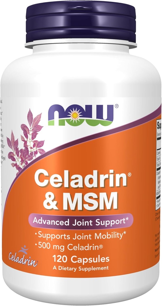 지금 식품 보충제, Celadrin® 및 MSM, Celadrin®의 500 mg, 고급 관절 지원 *, 120 캡슐