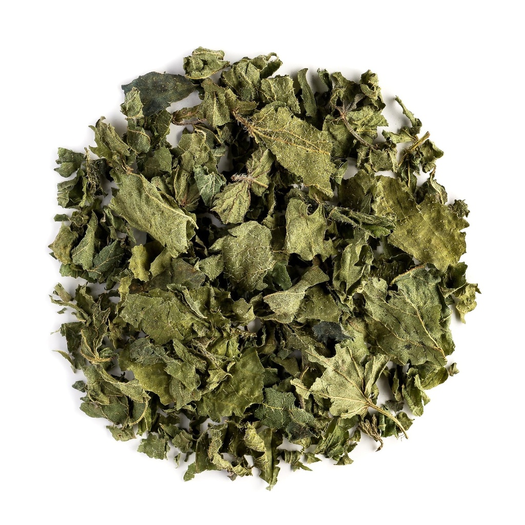 Nettle Leaf Tea Organic Herbal - 말린 스팅 주전자 - Urtica Dioica - 유기 스팅 주전자 차 주전자 Nattle Tea Nettke 잎 말린 Nettle Leaves Nettles 허브 건조한 Nettle Tea Leaves Organic