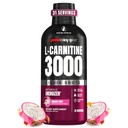 ProSupps L-Carnitine 액체 3000, 남성 및 여성을위한 Stimulant-Free 액체 샷 - 에너지, 성능 및 근육 회복을위한 깨끗한 운동 음료 - 설탕 없음, 캐비넷 없음 - 31 서빙, 드래곤 과일