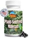 Trace Minerals, Electrolytes, Gut Health, Cognitive Function, Hydration & Immune Support, Pure Vitality Formula for Wellness - 60 캡슐