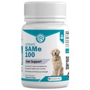 Wanderfound Pets 같은 100 개 Liver 지원 - 같은 S-Adenosyl-L-Methionine Hepatic 보충 Liver & 두뇌 지원 - Bacon 맛 Sam E, 미국에서 제조 - 30 Chewable 정제