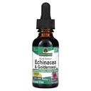 자연의 대답 Enchinacea & Goldenseal | 건강한 면역 체계 지원 | 최고 집중된 순수한 추출물 | 알콜 자유로운, 글루텐 자유로운, Vegan & Kosher 증명된 1oz