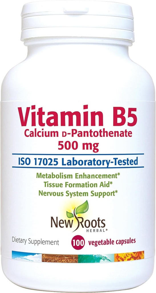 NEW ROOTS HERBAL 비타민 B5 (500mg) 칼슘 포함 | 비타민 B5 Pantothenic 산 보충교재 (100 캡슐)