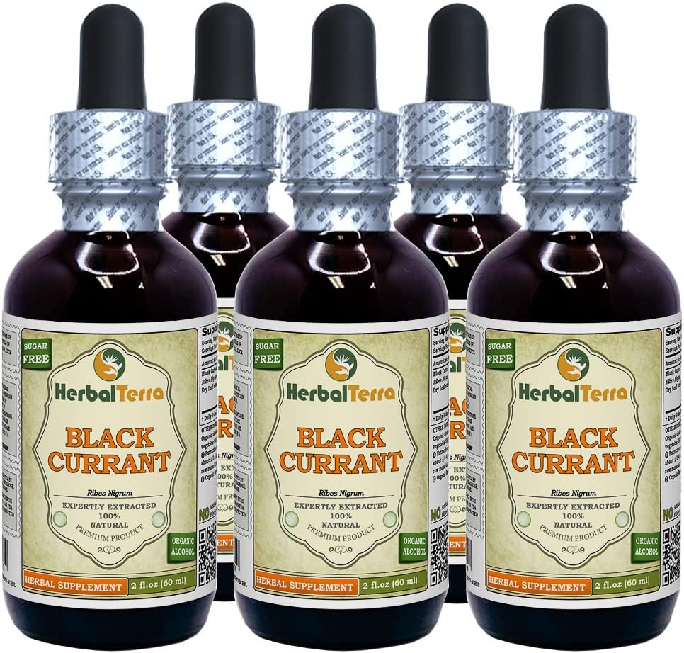 블랙 커런트 (Ribes nigrum) Tincture, 건조 정제 액체 추출 (브랜드 이름: HerbalTerra, Proudly Made in USA) 5x2 fl.oz (5x60 ml)