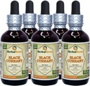 블랙 커런트 (Ribes nigrum) Tincture, 건조 정제 액체 추출 (브랜드 이름: HerbalTerra, Proudly Made in USA) 5x2 fl.oz (5x60 ml)