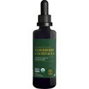 Global Healing USDA Organic Elderberry & Echinacea Liquid Supplement Tincture | 성인 및 어린이, Vegan, Non-GMO, 1 개월 공급 (2 Oz)을위한 Harmful Organism에 대한 항산화 면역성 면역성 지원
