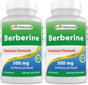 최고의 Naturals Berberine 500mg 120 캡슐 - 면역 기능, 심혈관 및 위장 기능 (120 개) 지원