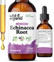 야생 & 유기 Echinacea Tincture - 액체 Echinacea 뿌리 추출물 - Angustifolia 보충제 - Vegan, Sugar & Alcohol-Free - 2 fl oz