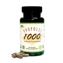 GREENBOW 프로 폴리스 1000mg NonGMO 유기농 프로폴리스 60 캡슐 VEGAN CAPSULES로 만든