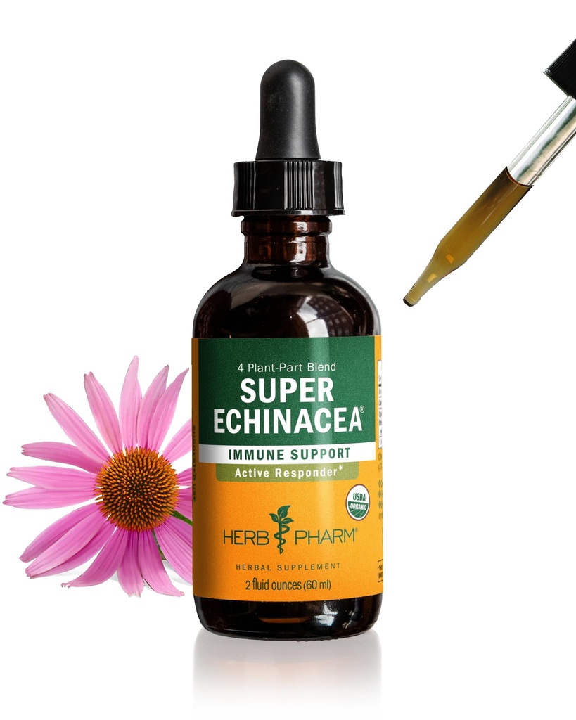 허브 제약 인증 유기 슈퍼 Echinacea 액체 추출 물 활성 면역 시스템 지원, 2 Oz