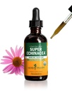 허브 제약 인증 유기 슈퍼 Echinacea 액체 추출 물 활성 면역 시스템 지원, 2 Oz