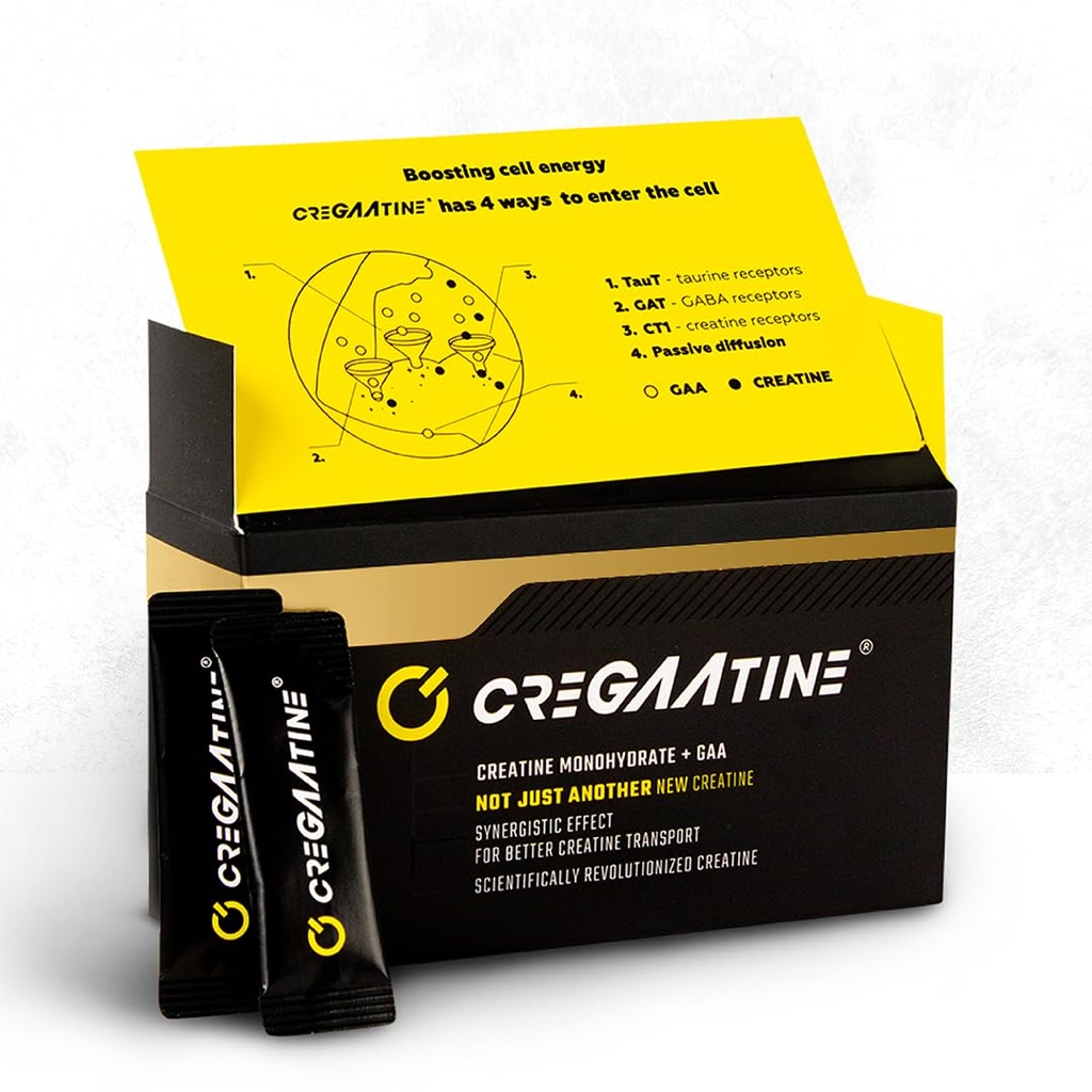 Micronized Creatine Monohydrate + GAA | 증가 힘, 아니 물 보유 | 부스트 메모리 및 초점 | 싱글-세브 패킷 | 60 Sachets, 30 서빙 | (Sachets, Unflavored)