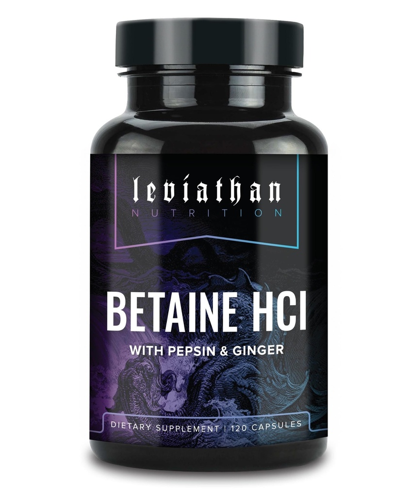 Pepsin & Ginger를 가진 Leviathan Betaine HCl - 소화 원조 & 지원, Stomach 산 & 영양 흡수를 위한 소화 효소 보충교재