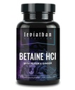Pepsin & Ginger를 가진 Leviathan Betaine HCl - 소화 원조 & 지원, Stomach 산 & 영양 흡수를 위한 소화 효소 보충교재