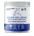 Om Mushroom Matrix - Equine | Wellbeing | USA Grown Human-Grade Organic Mushroom Powder Show Safe Horse Supplement | Wellness, Recovery, & Senior Support | 300 그램, 10.5 온스