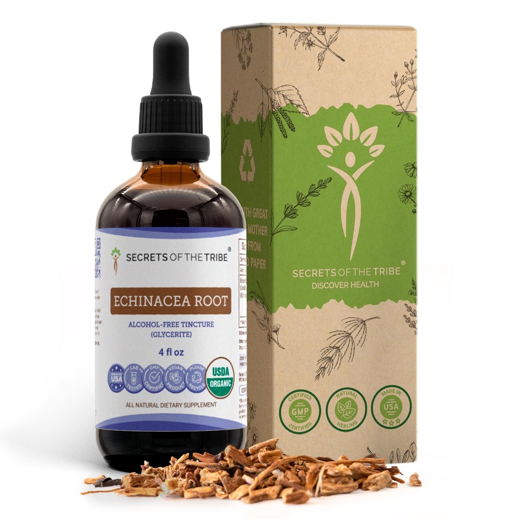 Echinacea Root USDA Organic Tincture | 알코올 프리 추출물, 고순도 허브 드롭, 면역 체계 건강 | 100 % 인증 유기농 Echinacea Root (Echinacea Purpurea) 4 oz