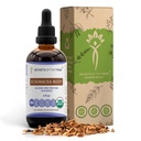 Echinacea Root USDA Organic Tincture | 알코올 프리 추출물, 고순도 허브 드롭, 면역 체계 건강 | 100 % 인증 유기농 Echinacea Root (Echinacea Purpurea) 4 oz