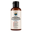 AMANDEAN Liposomal 글루타티온 보충교재. 액체 감소된 Setria 500mg. 면역 지원, 뇌 건강, 간결 Detox, 피부 건강. 비 GMO 해바라기 Lecithin의 Phosphatidylcholine. Soy-Free 및 비건.
