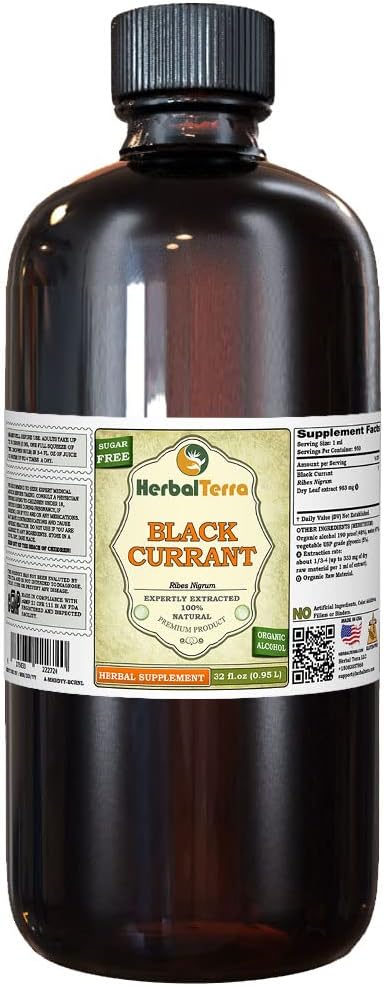 블랙 커런트 (Ribes nigrum) Tincture, 건조 정제 액체 추출 (브랜드 이름: HerbalTerra, Proudly Made in USA) 32 fl.oz (0.95 l)