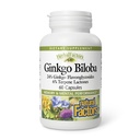 Natural Factors, Ginkgo Biloba, 지원 메모리, 정신 성능 및 건강한 두뇌 기능, 60 캡슐 (60 인분)