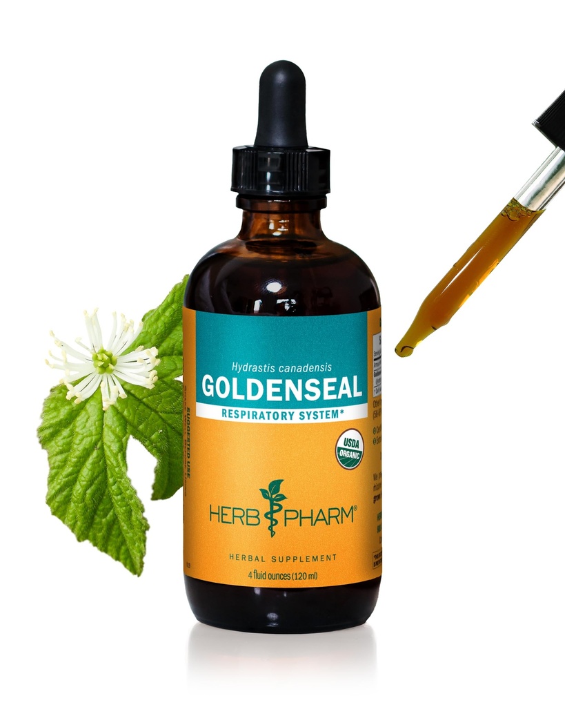 허브 Pharm은 호흡 시스템 지원을위한 유기 Goldenseal 액체 추출물 - 4 Ounce