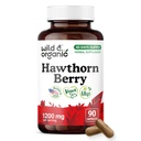 Wild & Organic Hawthorn Berry Capsules 1200 mg - Overall Support - Hawthorne Berry Supplement - Crataegus Monogyna Fruit Powder - 45 Days of Supply - Vegan, No Fillers, Non-GMO - 90 Count