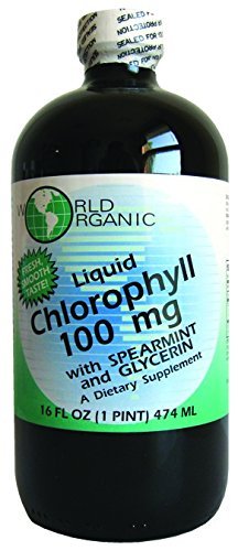 Spearmint를 가진 세계 유기 액체 Chlorophyll 액체, 16의 유동성 Ounce