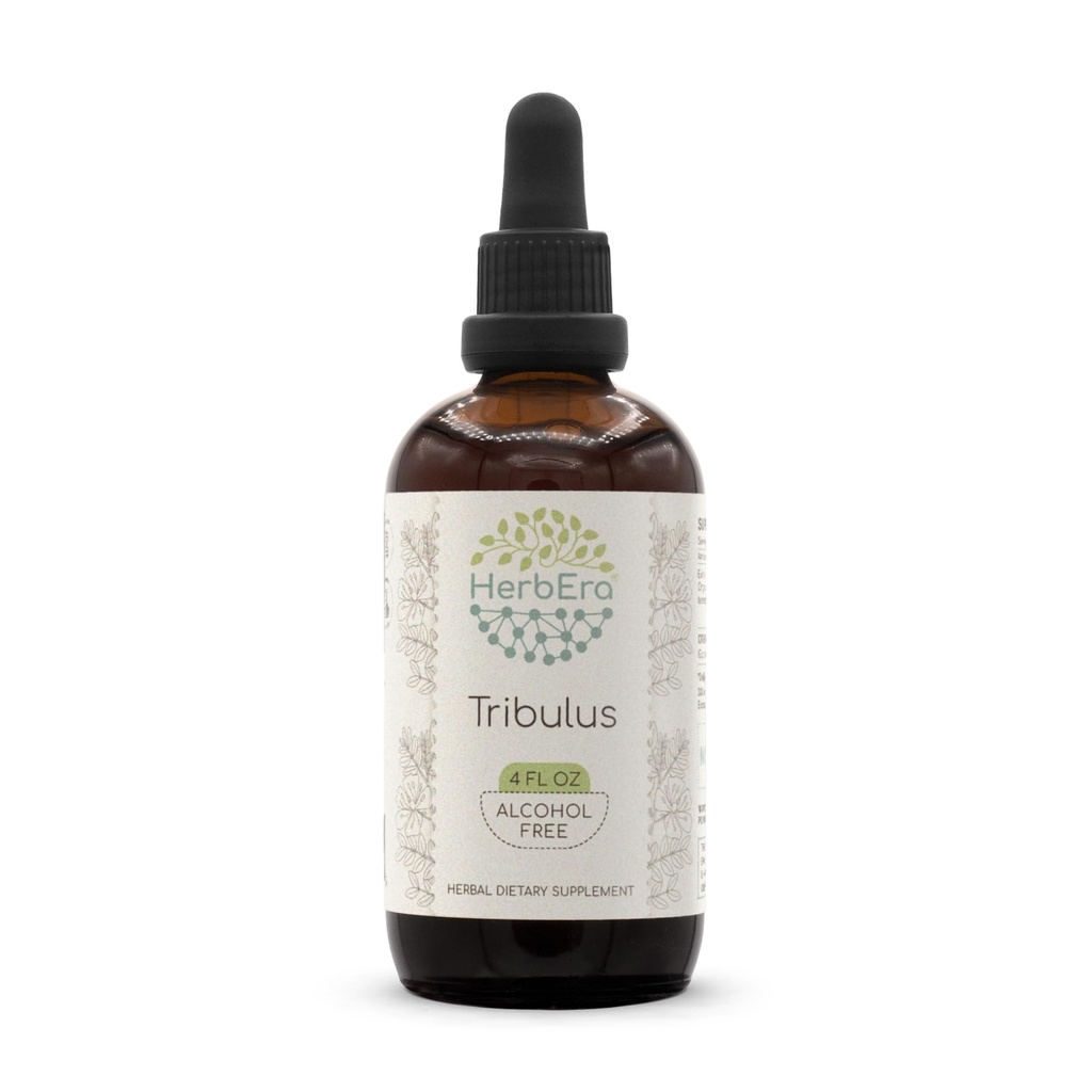 HerbEra Tribulus B120 알코올 무료 초본 추출물 Tincture, 농축 액체 드롭 천연 Tribulus (Tribulus Terrestris) 건조 과일 (4 fl oz)