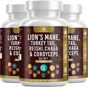 사자 Mane 터키 꼬리 Reishi Cordyceps Chaga Marshmallow 뿌리를 가진 버섯 보충교재 - 180 조사