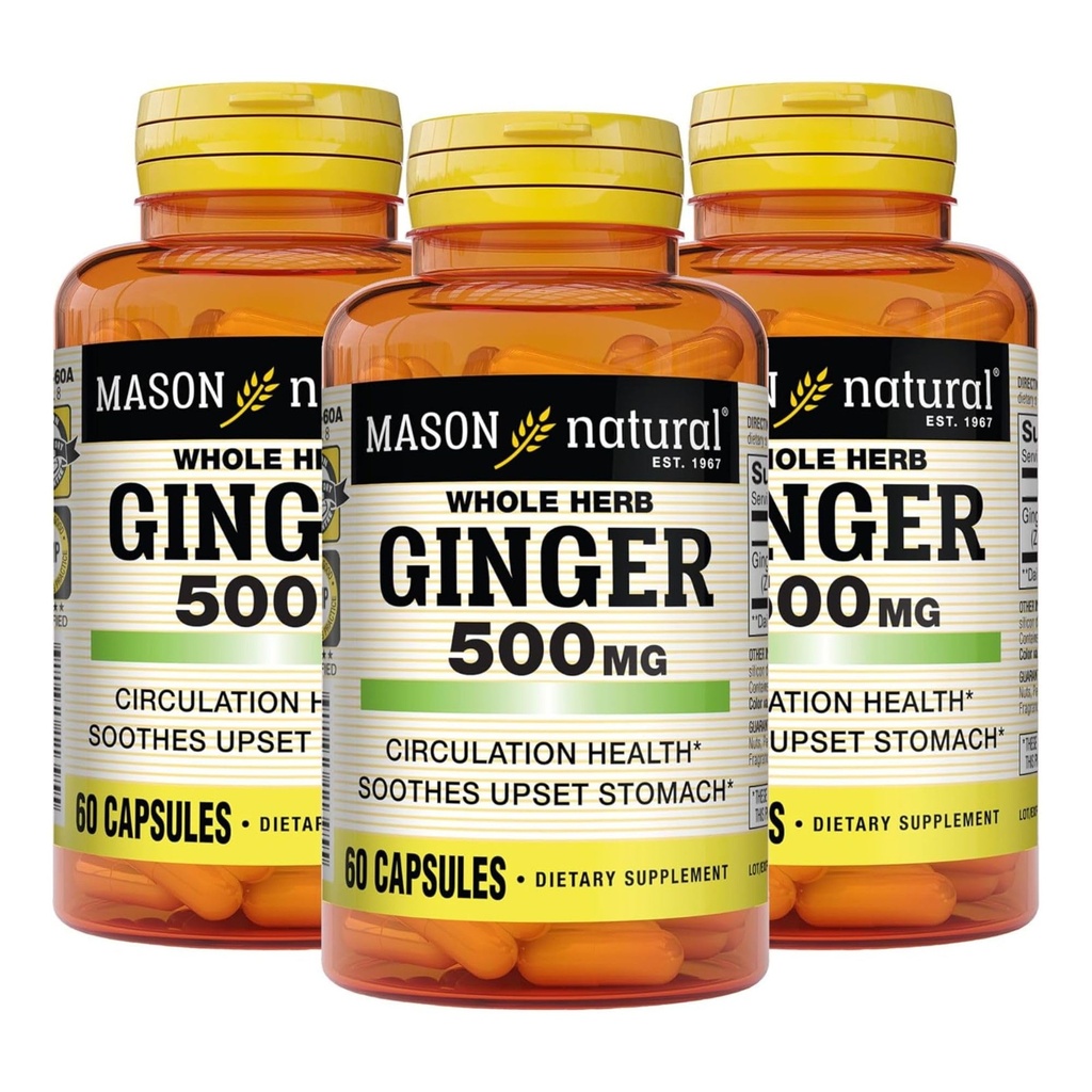 MASON NATURAL 전체 허브 생강 500 mg, 6 개월 공급, 천연 초본 보충, 60 캡슐 (3 팩)