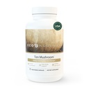 EcoNugenics Ten 버섯 보충교재: 매일 면역 지원, 120의 캡슐 – 사자 Mane, Reishi, Cordyceps, 터키 꼬리 – 에너지, Gut 건강, 간결한, 신장, 콜레스테롤 & Nootropic 뇌 지원
