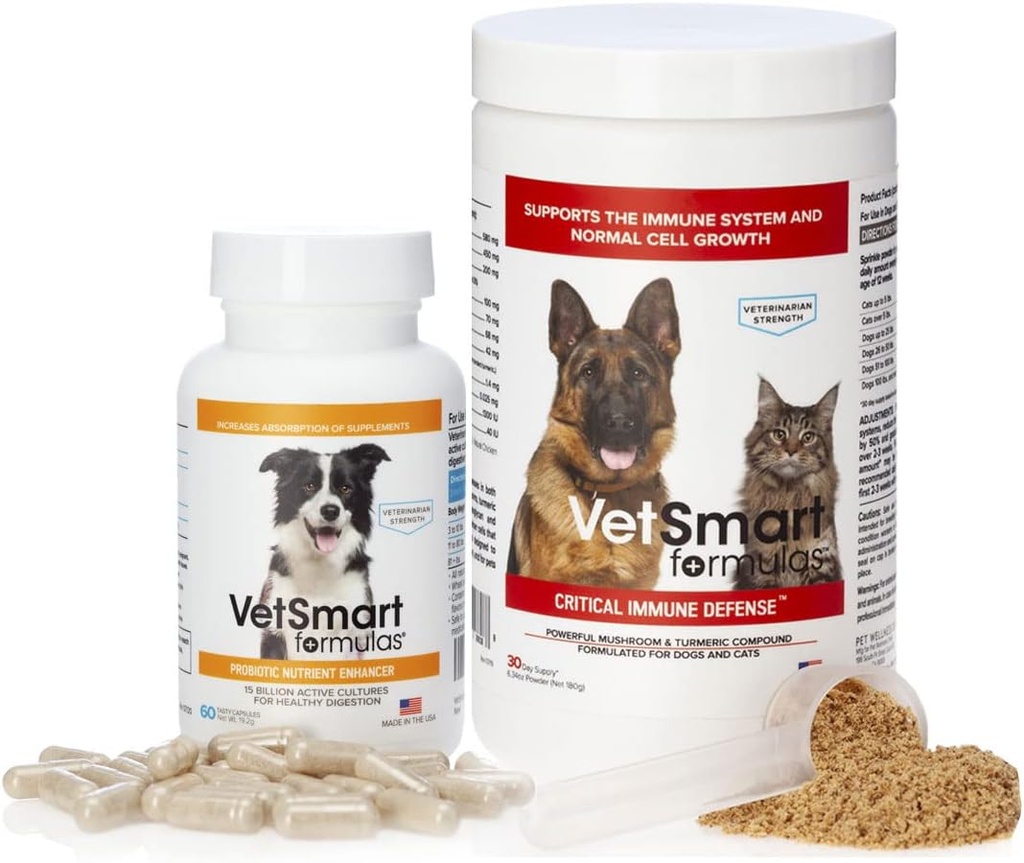 Dogs Immune 지원을 위한 터키 꼬리 버섯은 Probiotic Nutrient 증강자로 묶었습니다