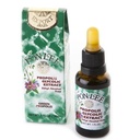 Pon Lee 브라질 녹색 꿀벌 Propolis 액체 추출물 알콜 없음 30ML 1 팩